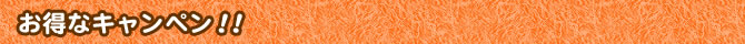 お得なキャンペン！！
